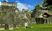 8 giorno Flores/Tikal/Città del Guatemala Prima colazione in albergo e mattinata dedicata alla visita del centro archeologico di Tikal.