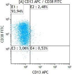 CD33, CD56, CD19 Antigeni -: CD13, CD66b, CD15, CD11b, CD14,