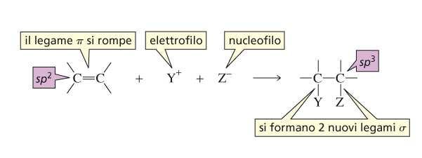 La Reattività degli Alcheni: Reazioni di Addizione al Doppio Legame Le reazioni caratteristiche degli alcheni sono le reazioni di addizione, in cui illegame πsirompe,esiformanoduenuovilegami σ.