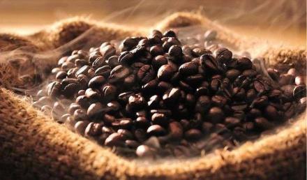 L ORIGINE DEI NOSTRI CAFFE Sebbene il caffè sia presente nelle aree del Sud e Centro America, Centro e Sud dell Africa, India, vaste zone dell Indonesia, Vietnam, Cambogia ed altre aree del mondo non