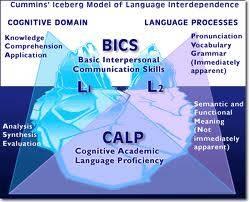 LS come strumento di comunicazione in situazioni culturali non linguistiche