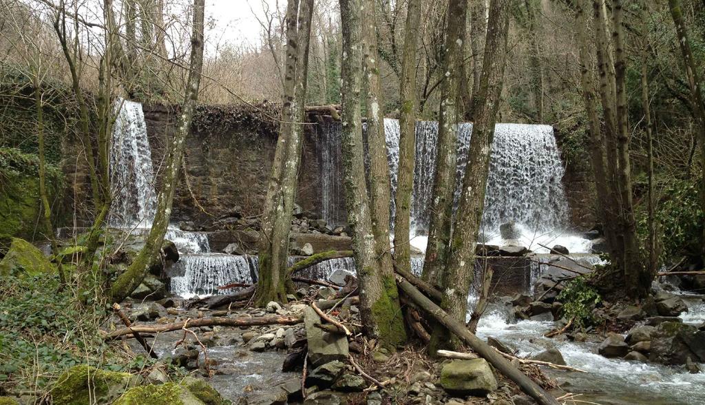 NUOVO IMPIANTO IDROELETTRICO DENOMINATO "MOLINO" AMMINISTRAZIONE: CORSO D'ACQUA: LIVELLO PROGETTUALE: COMUNE DI MARLIANA - PROVINCIA DI PISTOIA TORRENTE VINCIO DI MONTAGNANA PROGETTO DEFINITIVO