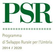 Comitato di Sorveglianza del PSR per l