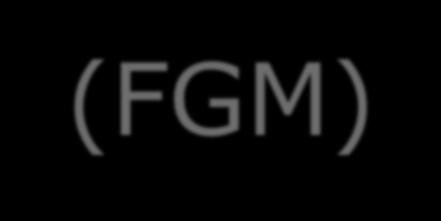 Flash Glucose Monitoring (FGM) rilevazione del glucosio interstiziale on