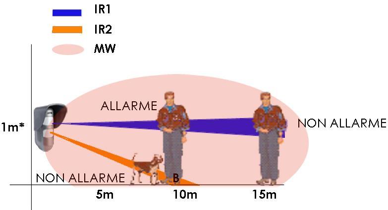 Rilevazioni : Configurazione Triplo AND (3AND) posizione 15m Configurazione Triplo