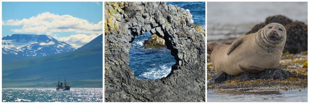 GIORNO 3 21 agosto Parco Nazionale Snæfellsjökull Dopo la colazione partiamo all esplorazione del Parco Nazionale di Snæfellsjökull.