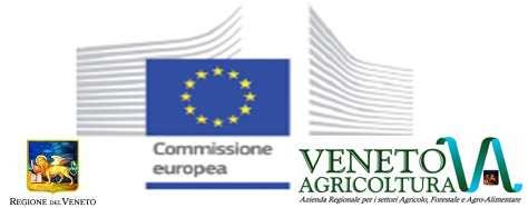 CONVEGNO Suolo, Agricoltura e Territorio: un equilibrio possibile Legnaro (PD) - 8 giugno 2012 - Veneto Agricoltura DISSESTO