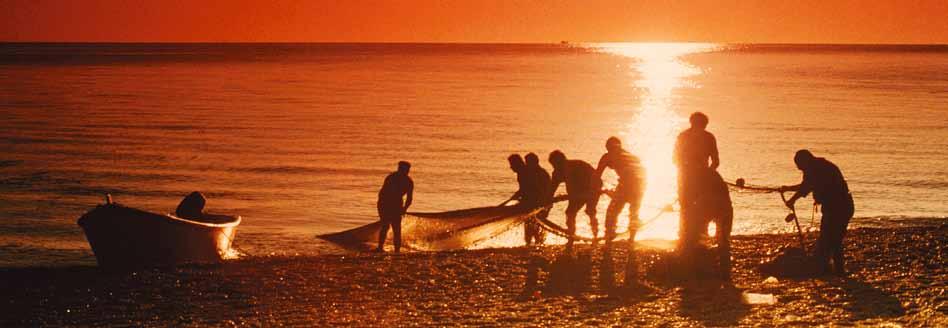 A R T A R U G H E La caletta delle tartarughe unica nel suo genere in Italia è