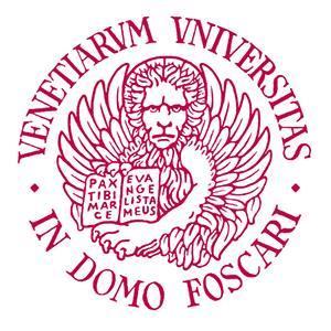 Università Ca Foscari di Venezia Dipartimento di Scienze Ambientali, Informatica e Statistica Corso di Ingegneria del