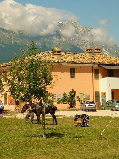 A 25: uscita Chieti- Pescara - asse attrezzato - SS 81 Piceno-Aprutina direzione Cepagatti- Penne. Da Penne: Circonvallazione Aldo Moro - Lago di Penne - Centro visite - CEA A. Bellini.