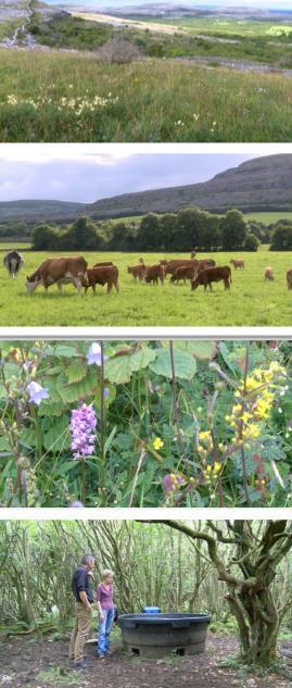 Burren (Irlanda) Obiettivo: Conservare aree (agricole) Natura 2000 160 agricoltori; 7.500 ettari; 1.000 parcelle Finanziato con Art.