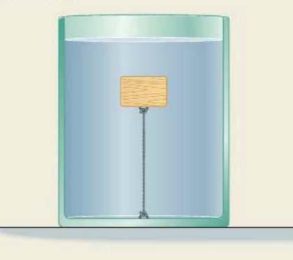 Fune tagliata Un blocchetto di legno, avente una densità di 3 706 kg/m, è legato con una fune (leggera e inestensibile) al fondo di un recipiente pieno di acqua.