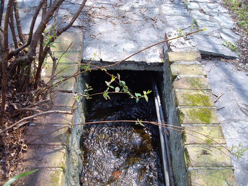 Considerando il breve tratto dei corsi d acqua oggetto di studio non presentano alcun bacino idrografico ma scaricano direttamente a lago il troppo pieno della sorgente captata.