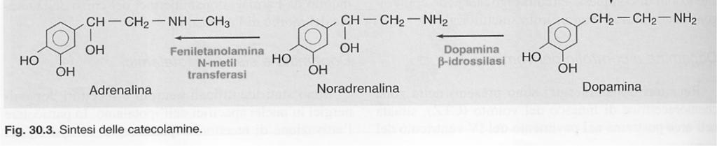 Noradrenalina e