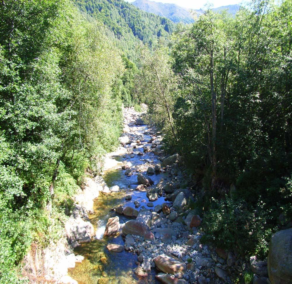 Gestione della vegetazione I piani di gestione Per gestione, si intende comprendere l'insieme delle misure che mirano a mantenere un stato di funzionamento del corso d acqua giudicato come ottimale