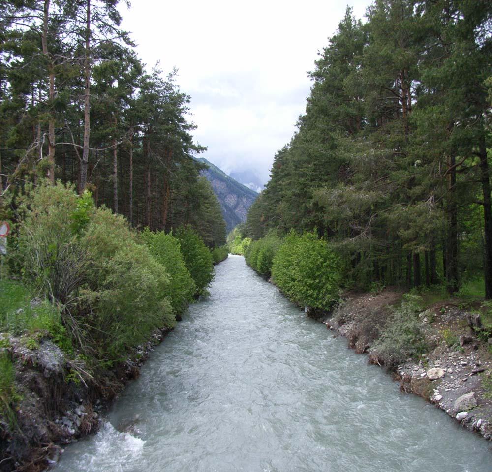 LA PIANIFICAZIONE DI SETTORE I Piani Forestali Territoriali per la valorizzazione polifunzionale del patrimonio forestale e pastorale (PFT) riguardano le Aree Forestali (AF) omogenee in cui