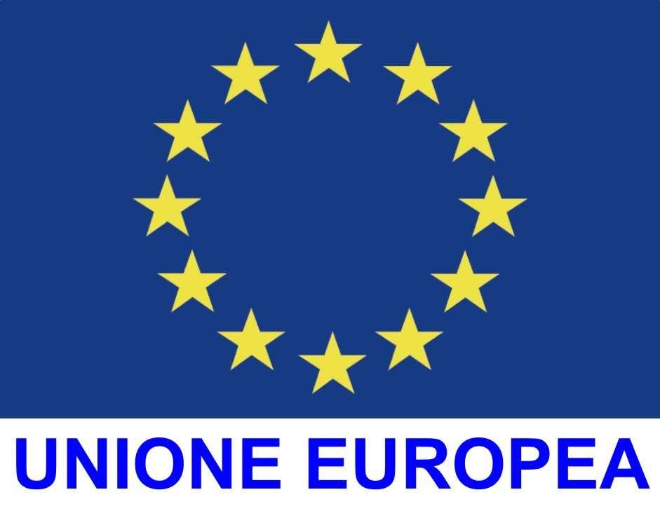 1080/06 relativo al FESR Fondo Europeo di Sviluppo Regionale; Vista la DGR n. 1921/07 di approvazione del PO FESR 2007-2013; Vista la DGR n. 282/08; Vista la DGR n.