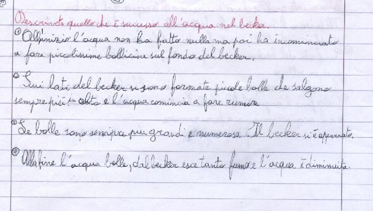 Per formalizzare l esperienza e fare in modo che ciascuno abbia la possibilità di riflettere su quanto osservato,