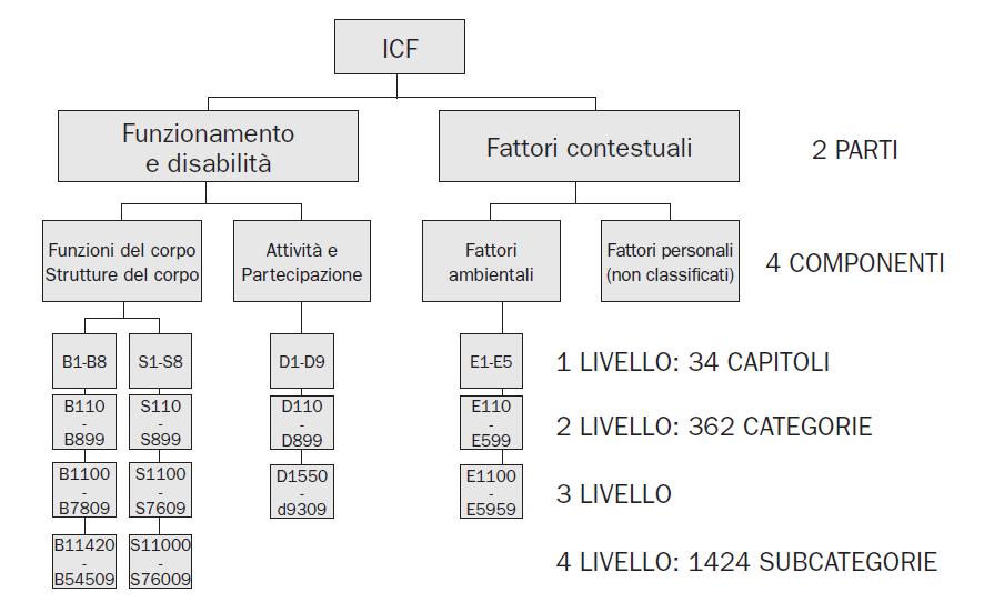 Opuscolo ICF 2008 www.