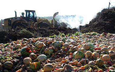 di Mariarosaria Vergara * Definizioni dello spreco alimentare Gli sprechi sono definiti come prodotti scartati dalla catena agro-alimentare, che hanno perso valore commerciale ma possono ancora
