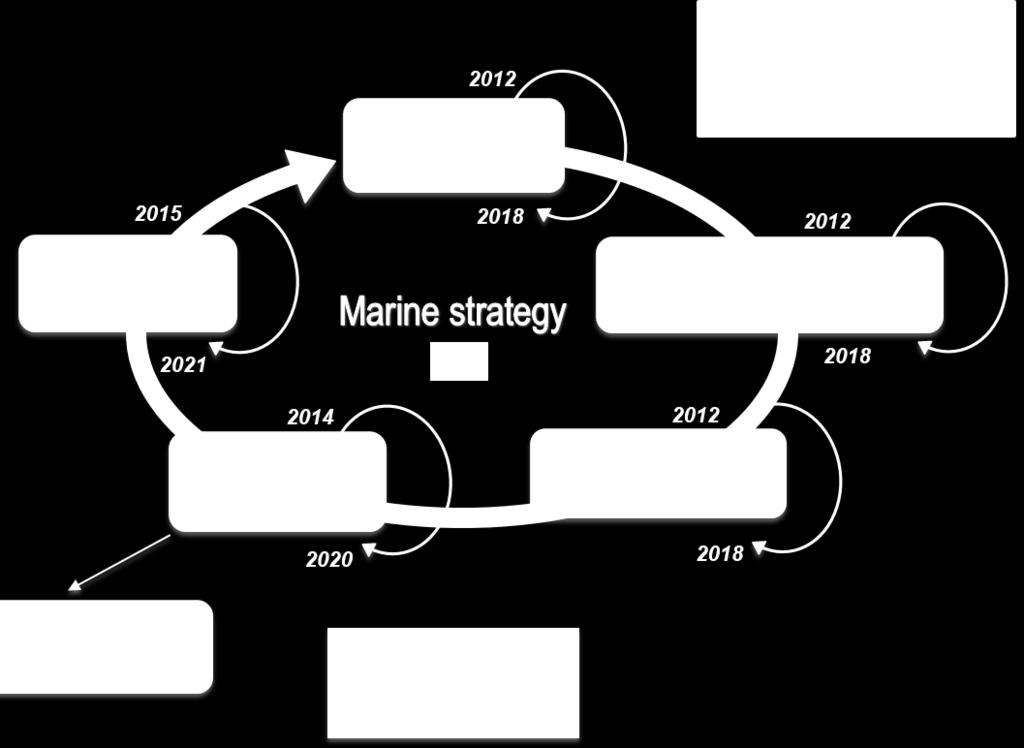 Programmi di Monitoraggio 2020 Entro luglio 2020 dovranno essere adottati, dagli Stati Membri, i nuovi Programmi di Monitoraggio del II Ciclo della Strategia Marina.