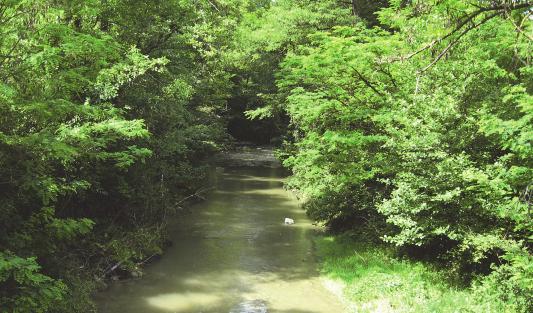 GRADO DI INTEGRITÀ DEI VALORI CONNOTATIVI 3 di 5 MATRICE DI INTEGRITÀ [grado integrità/valore] permanenza trasformazione perdita valore storico valore culturale valore naturale valore morfologico