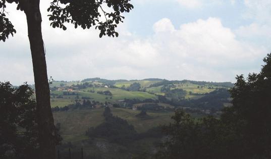 Sulla riva destra del Tassobbio si può notare una notevole quantità di affioramenti di strati rocciosi, che presentano erosioni orientate in senso contrario all attuale direzione di corso dei