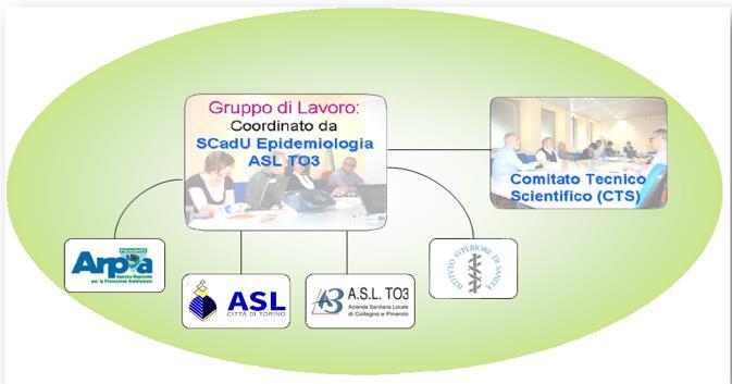 L organizzazione: