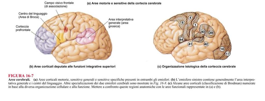 Riconoscimento