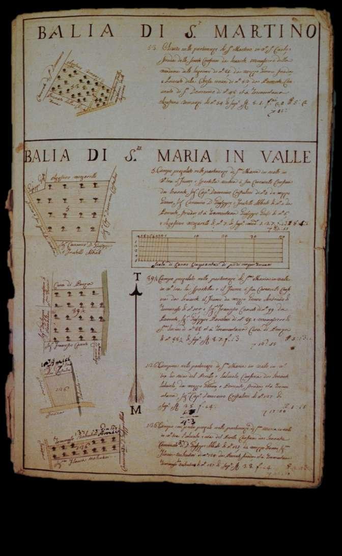 Cabreo delle balie di San Martino, Santa Maria in Valle, Matigge, Picciche e