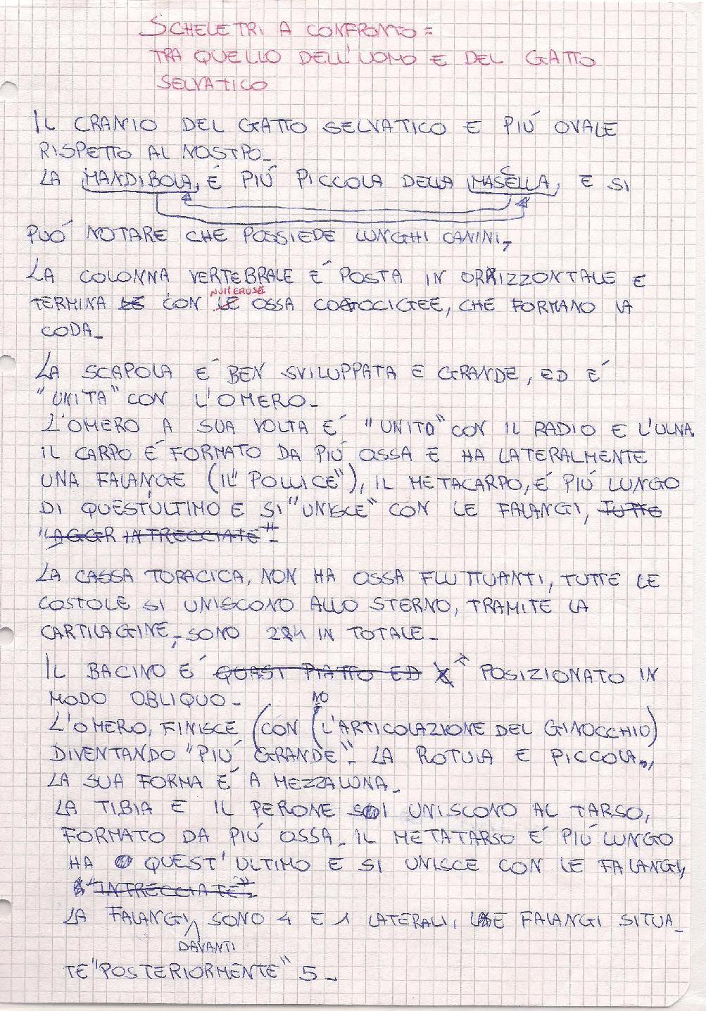 I lavori dei vari gruppi sono stati socializzati ed è stata