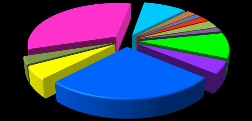 Graf. n..13 Composizione % delle imprese femminili attive per settore.