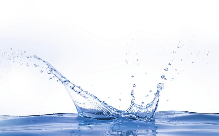 Qualità del l acqua che consumiamo: È molto importante conoscere la qualità dell acqua che ingeriamo e il