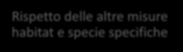 generali (carta e indicatori dei tipi forestali del