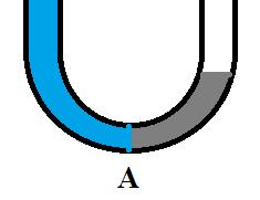APPLICAZIONI Lez. 6 Corso di Elementi di Fisica UniMC Prof. M. Bellesi 2) Un tubo a U contiene in un ramo acqua dolce (δ H2 O = 1000 kg/m 3 ) e nell altro mercurio (δ Hg = 13600 kg/m 3 ).