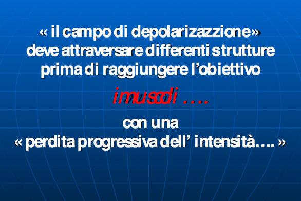 Non è possibile stabilire legami lineari fra i parametri di stimolazione e la forza muscolare ottenuta o l allungamento muscolare stesso.