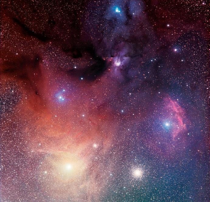L evoluzione delle stelle Nascita: una stella si forma quando una nebulosa inizia a contrarsi per effetto della forza di gravità.