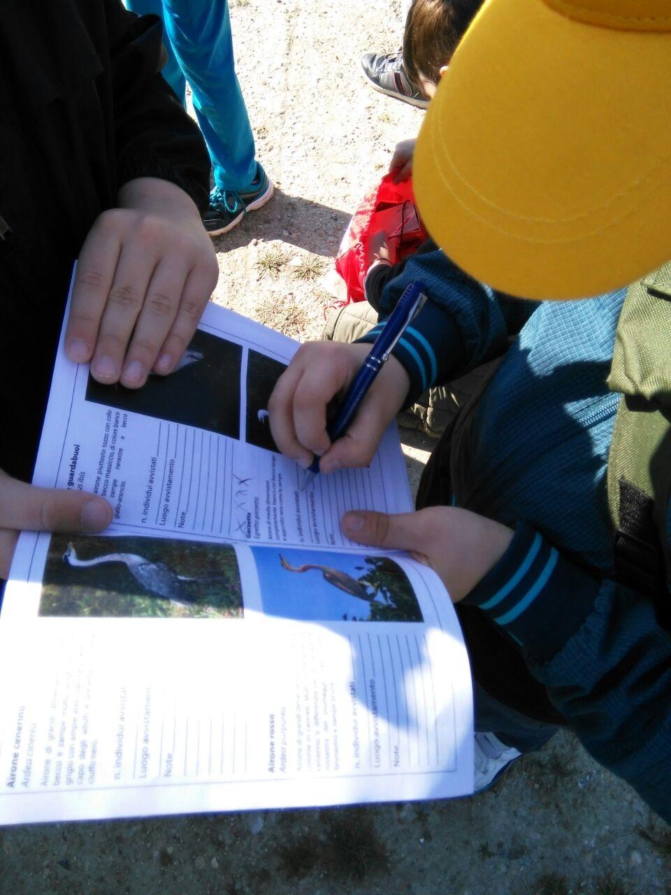 Figura 4. Uno studente registra le sue osservazioni sul manuale-guida.