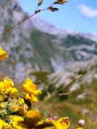 L anfiteatro della Gardetta è letteralmente un posto meraviglioso.