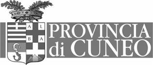 Piano progettuale della Provincia di Cuneo per interventi a favore di cittadini immigrati anno 2007 La Regione Piemonte, con D.G.R. n. 4-14155 del 23.11.