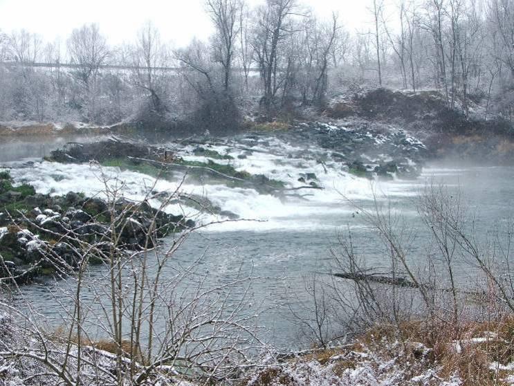 7.3 Tratto terminale del Torrente Pellice 7.3.1 Caratteristiche generali del tratto Il Torrente Pellice ha origine dalle falde del Monte Granero (2.387 m s.l.m.) ed entra nel fondovalle a Villanova, dove prende direzione ovest-est fino alla confluenza nel Fiume Po, in prossimità dell'abitato di Faule.