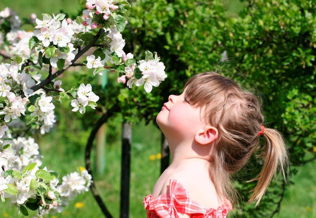 SPECIALE SCUOLE VISITA IN PRIMAVERA Dal 15 marzo all 8 giugno La classe effettua una gita in Val di Non (senza pernottamento) nel periodo primaverile, scoprendo i segreti del mondo delle mele tramite