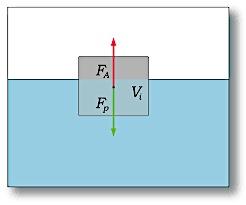 Un corpo immerso in un fluido riceve una spinta dal basso verso l alto pari al peso del volume di fluido