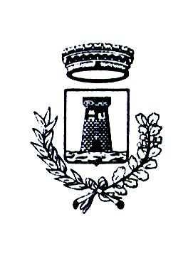 COMUNE DI CASTEL ROZZONE Provincia di Bergamo CODICE ENTE 10064 VERBALE DI DELIBERAZIONE DEL CONSIGLIO COMUNALE D E L I B E R A Z I O N E N.