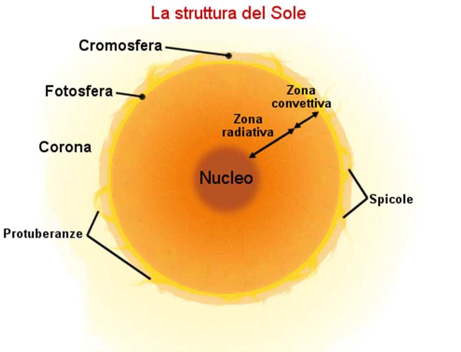 Il Sole come stella tipica Stella di gran lunga più conosciuta Banco di prova decisivo per la teoria di sruttura stellare Tipo spettrale: G2 V ( nana gialla, Sequenza principale) Caratteristiche