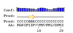 Caratterizzazione peptide A Produzione per sintesi chimica del peptide A Saggi di attività antibatterica negativi (attivi solo ad alte