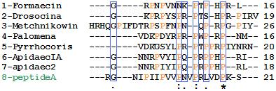 Conclusioni I PEPTIDE A Appartiene alla sottofamiglia dei peptidi ricchi in Prolina UniProt Knowlwdgebase Accession number Pol2 P86457 Prodotto