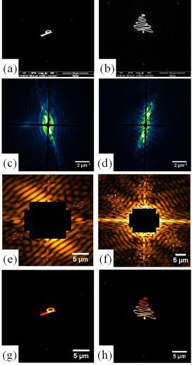 Figure 17 First CDI result obtained at DiProI end-station [32]. a), b): SEM images of the samples. c), d): single- shot diffraction pattern with 32.5 nm FEL pulse.