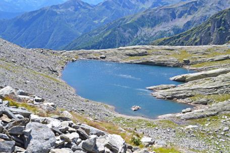 80 laghi, 116 campioni 10 vulcanici 8 invasi 11