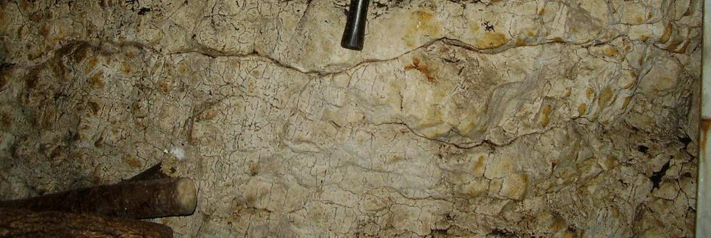: 1 Substrato geologico: Calcari bioclastici Strumentazione: martello di Schmidt Geohammer pag.